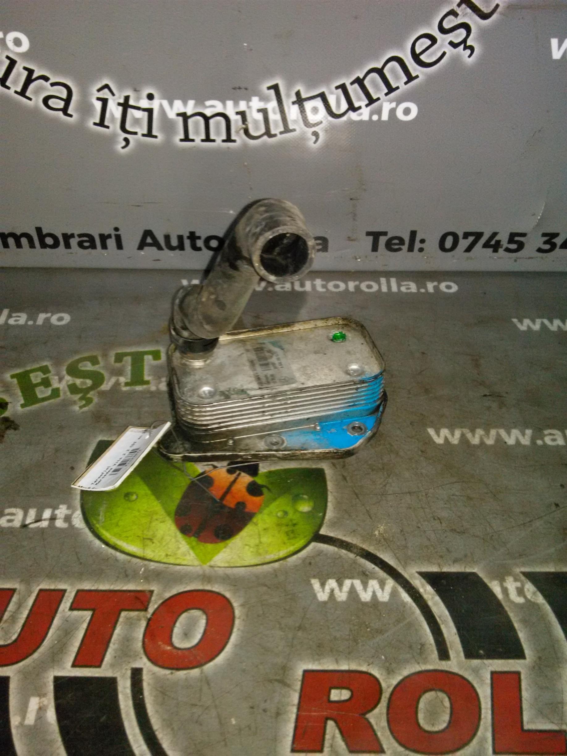 Termoflot Mercedes Vito 2.2 CDI an 2006