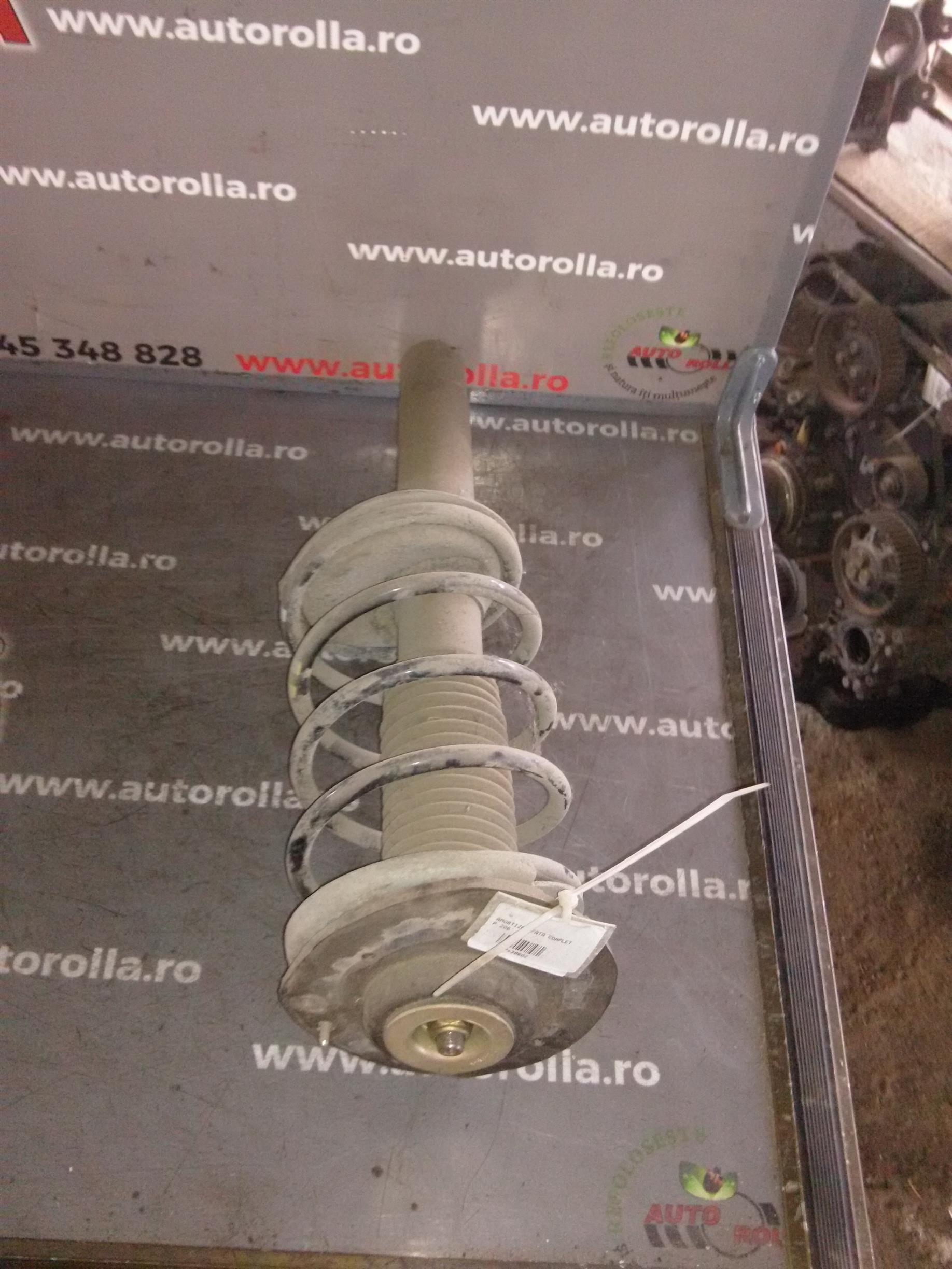 amortizor fata complet Peugeot 206
