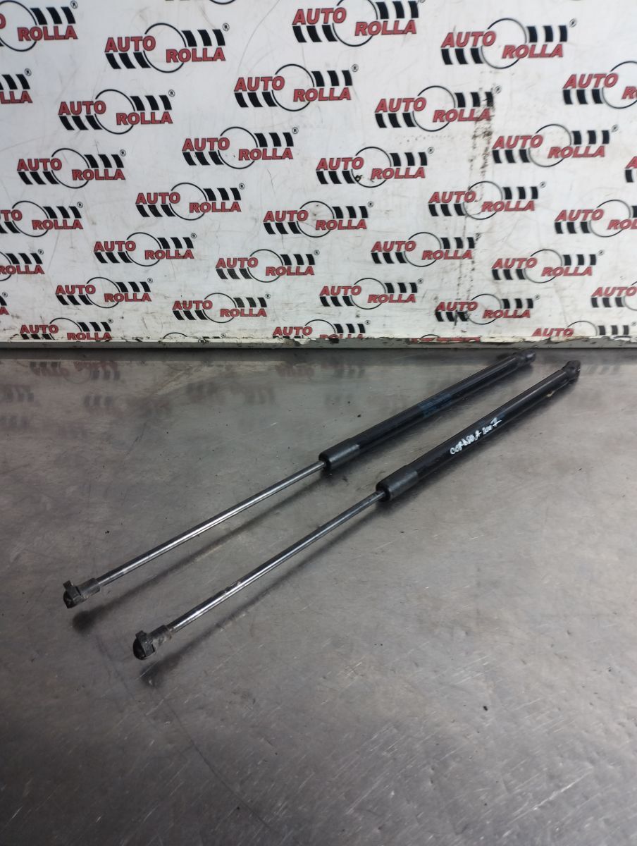 Amortizoare haion Seat Cordoba an 2007