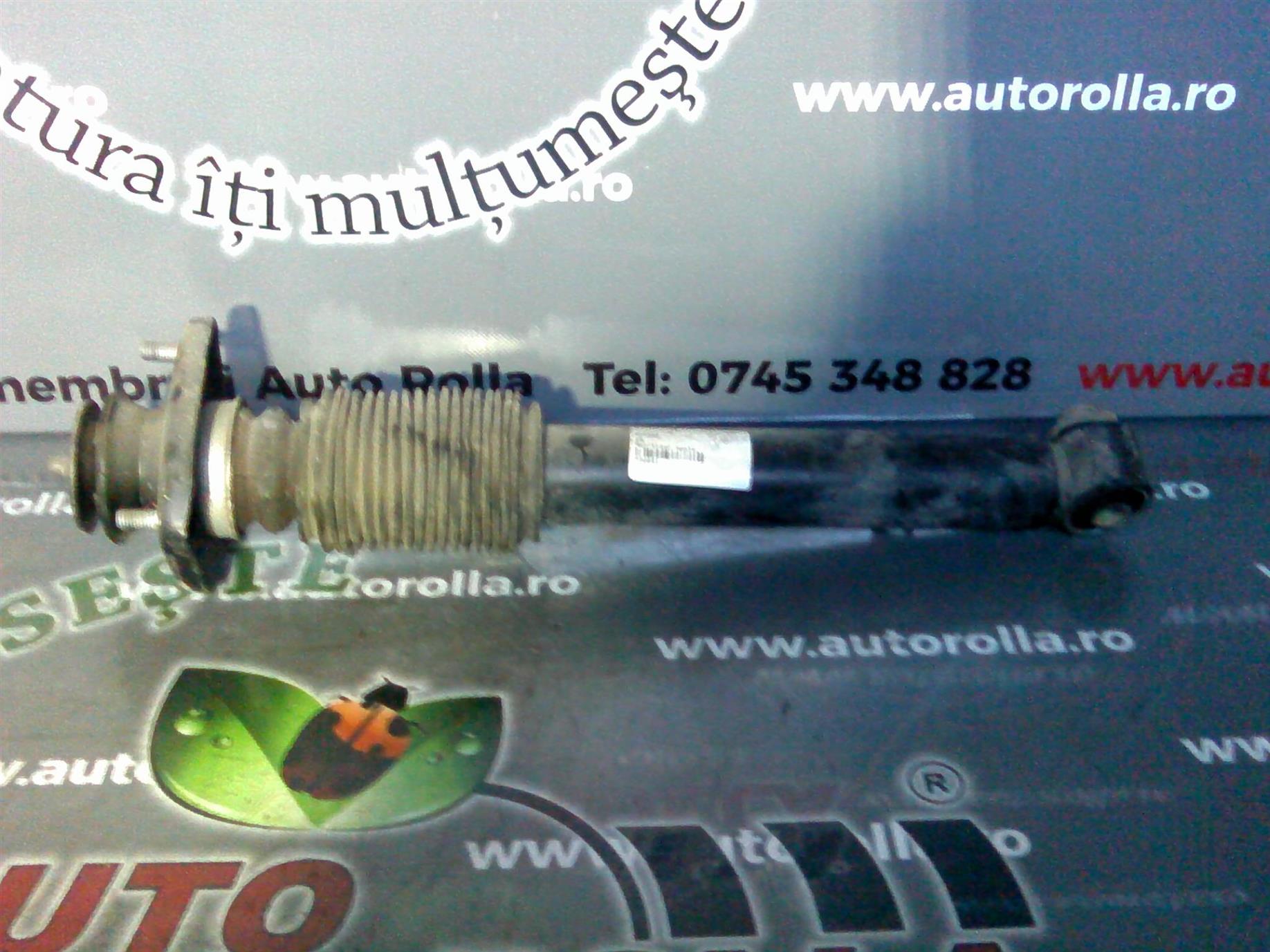 amortizor spate BMW X5 E53
