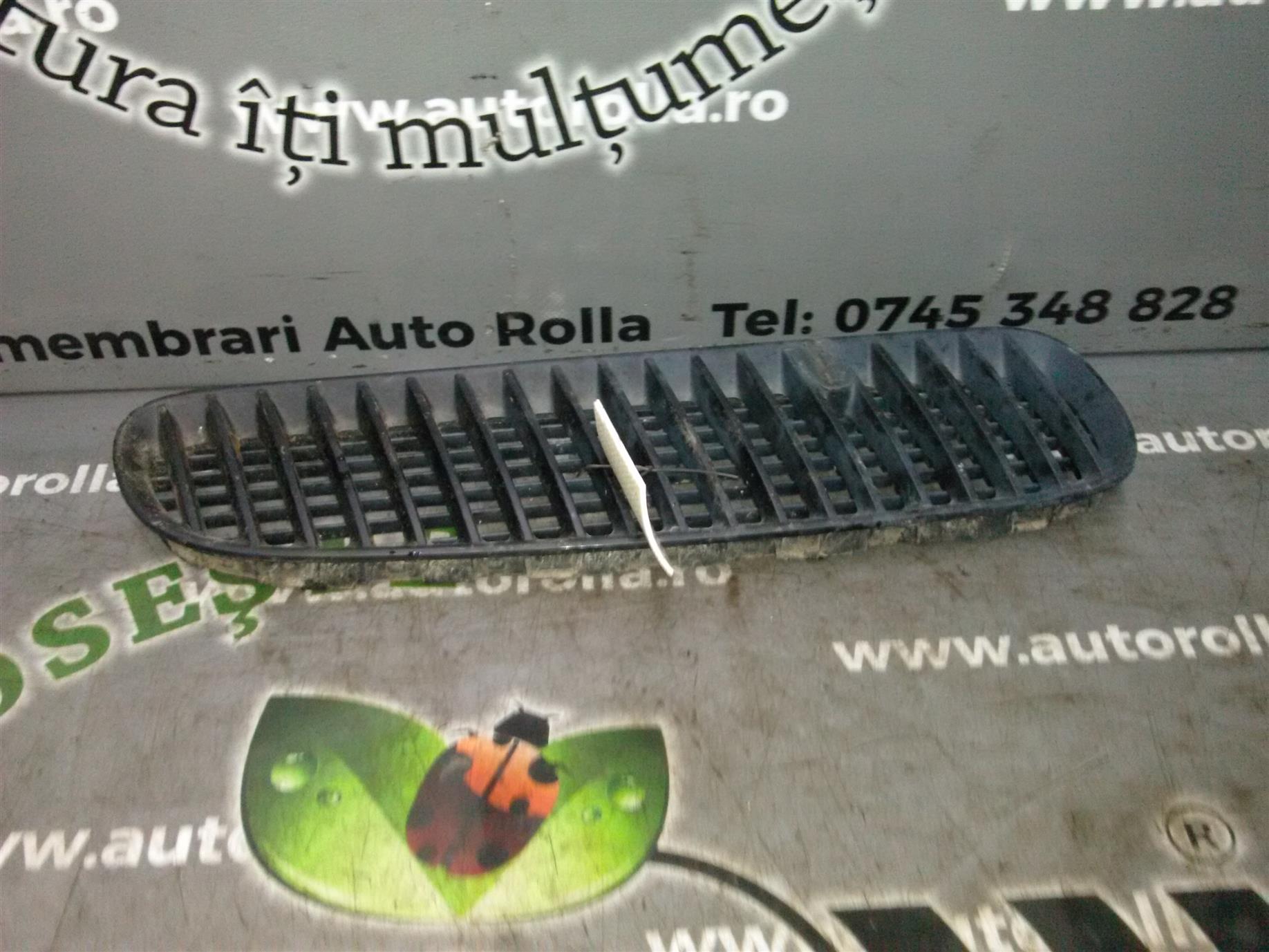 Grila stropitor BMW x5 E53 3.0d an 2004