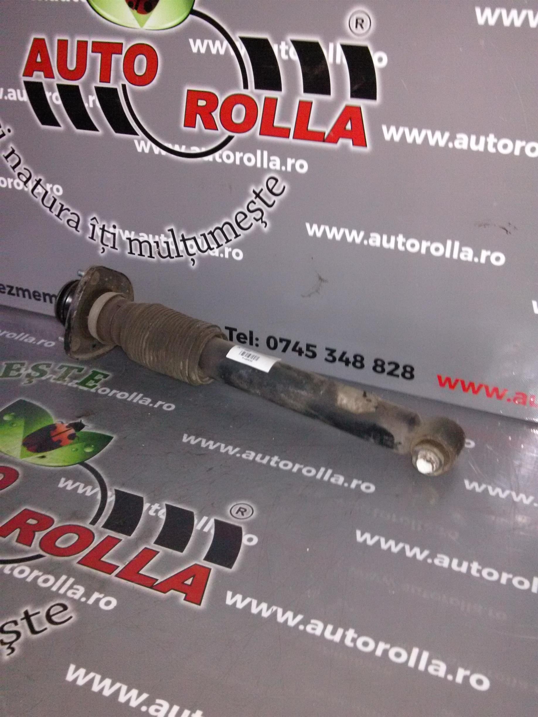 amortizor spate+flansa BMW X5 E53, an 2003