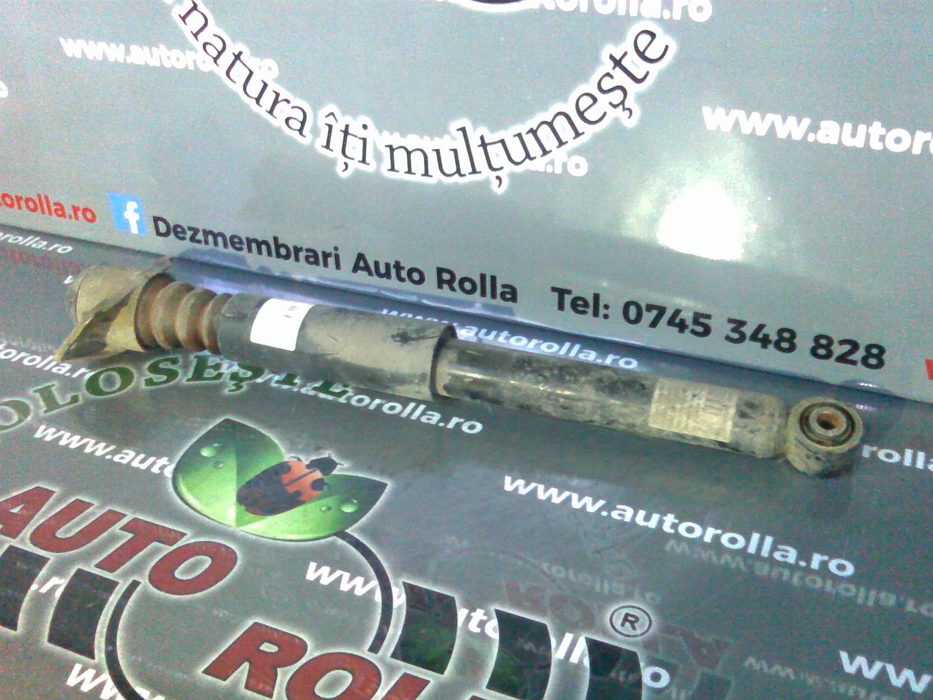 amortizor spate Volkswagen Passat B6, an 2009